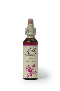 Bach Original Blütenmittel Eiche 20ml - 2er Pack - Bild 1 von 1