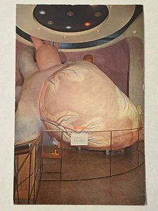 Riesenherz Postkarte Wissenschaftsmuseum des Franklin Institute Philadelphia Penn - Bild 1 von 3