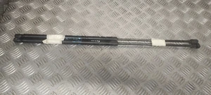 Verin de coffre - RENAULT Megane III (3) Phase 1 - Réf : 904510002R - Picture 1 of 5