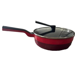 Remy Frying Pan Plus 24cm Red Color Variation Hirano Standing Glass Lid NEW 3.3L - Picture 1 of 12
