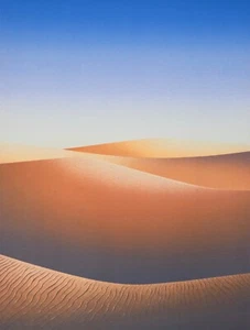 Daniel SCIORA - Estampe originale - Lithographie - Les dunes - Imagen 1 de 4