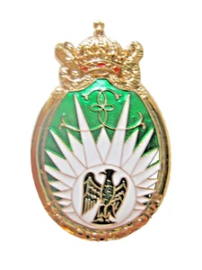 RARE INSIGNE DRAGONS PARACHUTISTES 13° RDP (EN TRANSLUCIDE DORE) Y. DELSART - Picture 1 of 2