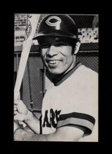 1975 ED BRODER JAPAN TOP STAR JA4 SACHIO KINUGASA CARPA NRMT  - Foto 1 di 1
