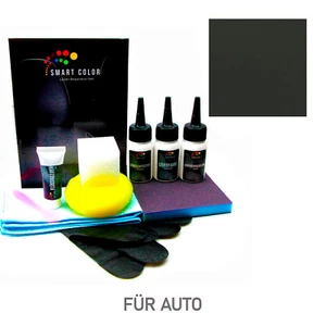 Todos Cuero Coche Muschelgrau - Lederreparatur-Set-Lederfarbe - Imagen 1 de 12