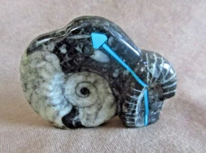  Zuni versteinerter Orthoceras Widder Fetisch mit Herzlinie von Kenric Laiwakete C2766 - Bild 1 von 4