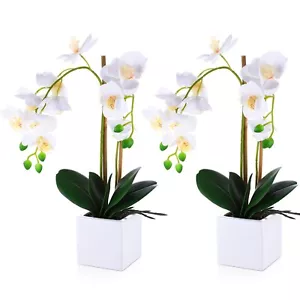 Lallisa 2 Pcs Artificial Orchid Flowers with Vase Fake Plant in Pot White Fak... - Picture 1 of 7