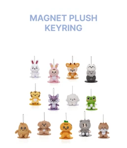 [ EN STOCK ] DIX-SEPT personnages MINITEEN merchie officielle - porte clé peluche aimantée - Photo 1 sur 17