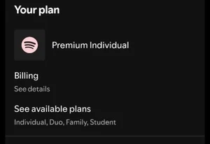 Spotify Individual OFICIAL - 1 year - - Zdjęcie 1 z 1