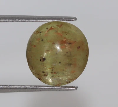 7.31 Ct Certified Natural Green Cat’s Eye Chrysoberyl Loose Oval Cab Gemstone - Image 1 of 4