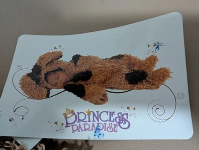 Disfraz Princesa Paraíso Bentley El Cachorro Sin Talla 3 a 6 Meses Foto 1 de 4