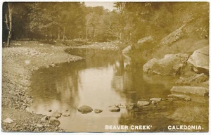 Beaver Creek, Caledonia, Minnesota 1907 RPPC - Imagen 1 de 2