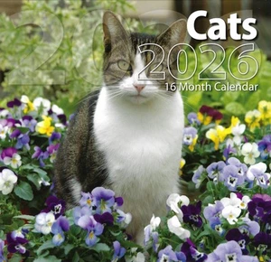 Calendario de pared 2026 gatos 16 meses (septiembre 2025 hasta diciembre 2026) 12"x12" - Imagen 1 de 2