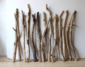 Madera flotante Driftwood 15 ramas decoración manualidades 52-69 cm *SNG* - Imagen 1 de 17