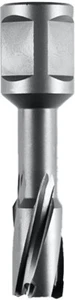 1 x Fein ø 19 mm x 35 mm Kernbohrer HM ULTRA 35 Kernbohrer mit 3/4 in Weldon - Picture 1 of 1