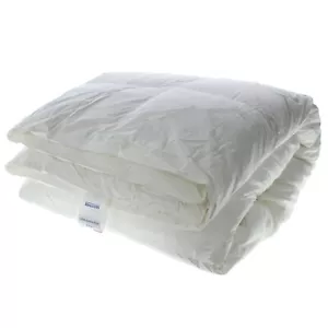 Bassetti Piumino 100% Plus *** piumino vergine d'oca bianca Matrimoniale 250x200 - Foto 1 di 12
