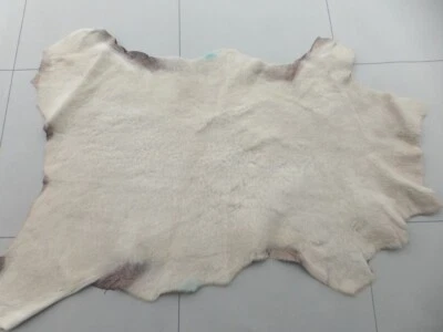 sheepskin leather Thin hide Karakul Beige super silky fluffy hair w/Bomber back - Image 1 of 4