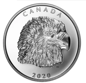 Canadá 2020 25 USD Proud Bald Eagle 1 oz Moneda de plata pura EHR real canadiense como nueva - Imagen 1 de 5