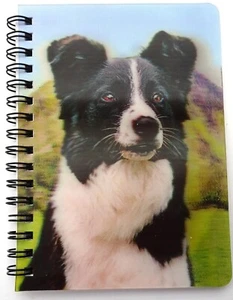 Border Collie in amazing 3D on the cover of a pocket notebook NB003 - Picture 1 of 6