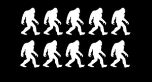 Set Of 10 Bigfoot Sasquatch Vinyl Decal Sticker Choose Size - Picture 1 of 2
