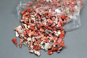 Mediterranean Red Coral Gemstone Loose Red Coral Rough Unpolished 100 Crts Lot