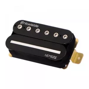 ENTWISTLE NEMESIS CERAMIC MAGNETS mit SINGLE & BLADE POLES - BLACK SET mit NECK - Bild 1 von 1