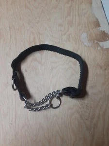 Sicherheits-Zwickhalsband für kleine Hunde - Bild 1 von 4