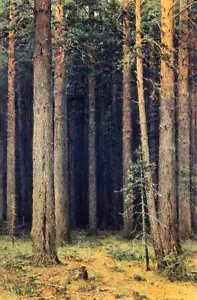 Pine Grove Forest, by Ivan Shishkin - Bild 1 von 1