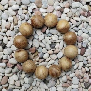 Bonita pulsera de madera de agar Papúa Aquilaria de 20 mm 12 gramos de madera de aloe 12 cuentas #57 - Imagen 1 de 5