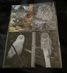 OWLS Of Lake Superior By Duluth, MN Photographer John Poldoski Postcard magnet - Picture 1 of 6