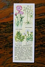 WILD FLOWERS IN THEIR FAMILIES,2nd SERIES,1937,TYPHOO TEA CARDS ,PICK YOUR CARDS