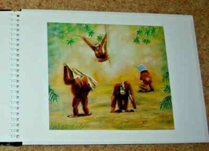 ERNESTO ZOLLO, ANIMAL EMOTIONS, SIGNED LIMITED EDITION ANIMAL ART BOOK - Bild 1 von 12
