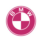 BMW Logo Multicolor die cut decal Made in USA 6+yr outdoor