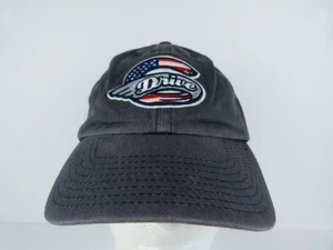 47 Brand Adult One Size Greenville Drive Logo Gray Baseball Cap - Picture 1 of 10