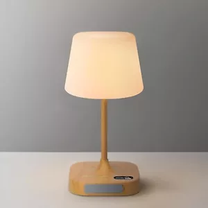 Waterproof Cordless Table Lamp with LED Display, 8000mAh Rechargeable Shower Lam - Picture 1 of 9
