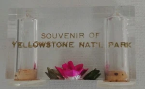 Lucite One Piece Salt And Pepper Souvenir Of Yellowstone Nat'l Park - Picture 1 of 4