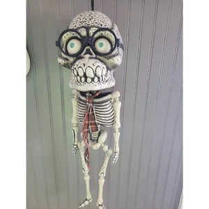 Molde soplado colgante cabeza grande esqueleto cabeza grande con gafas y corbata 25" de alto - Imagen 1 de 11