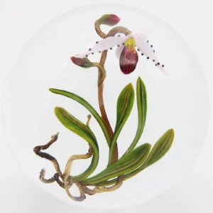 STUNNING Large CHRIS BUZZINI Pink ORCHID Art Glass Paperweight ONE of ONE - Picture 1 of 8