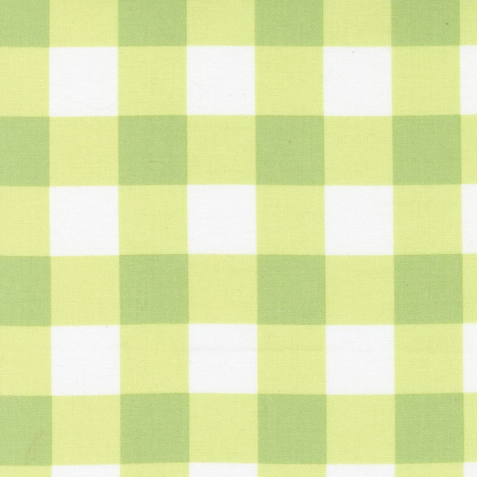 Sunwashed Cotton Fabric 1 Yd Corey Yoder  Green Check - Image 1 of 1