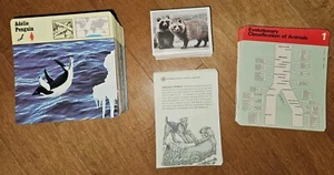300+ Safari Karten des Wissens 1975-1976 Edition Rencontre mit Bonus (Top) - Bild 1 von 11