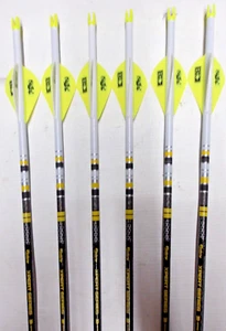 6- Victory Archery VAP TKO Elite 350 Dip/Crested Carbon Arrows Bohning Blazer - Picture 1 of 1