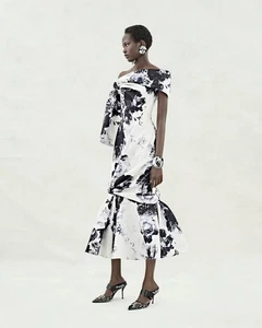 ALEXANDER MCQUEEN- 2024 Chiaroscuro Print Taffeta Dress, Size 8 - Picture 1 of 7