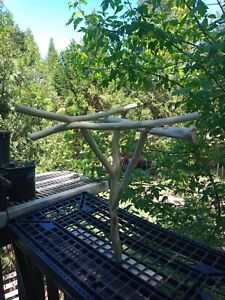 18 inch natural Manzanita tree stand perch for small to medium size birds