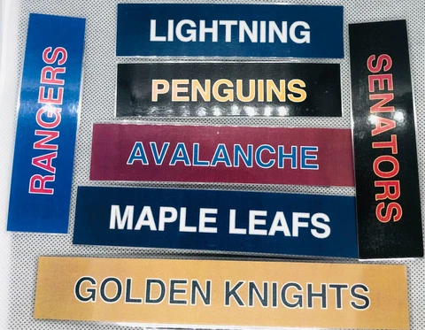 NHL TEAM MAGNETS - STANDINGS DISPLAY, ETC. (PICK YOUR TEAM, DIVISION, OR ALL 32) Cover