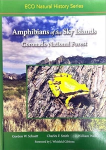 Amphibians of the Sky Islands – Coronado National Forest Herpetology - Picture 1 of 1