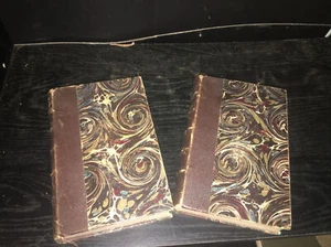 (1894) The Evolution Of Lyric Poetry In France In The 19th Century vol. 1 and 2 - Picture 1 of 8