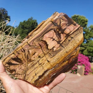 Outback Australian Nguni Jasper Crystal Display Slab | 658 grams | 1lbs 8oz - Picture 1 of 10