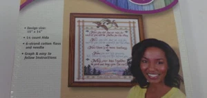 Janlynn APACHE WEDDING BLESSING II Counted Cross Stitch Kit 15" x 14" - Picture 1 of 3