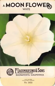 Vintage Seed Packet: MOON FLOWER, Lagomarsino & Sons, Sacramento, 1940's - Picture 1 of 2