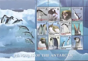 British Antarctic Territory - 2008 Penguins - 12 Stamp Sheet - Scott #C4 - Picture 1 of 1