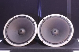 2 x KORALLE ORIGINAL 10" Tieftöner Lautsprecher 10L-17A Made in Japan getestet SKU 221527 - Bild 1 von 10